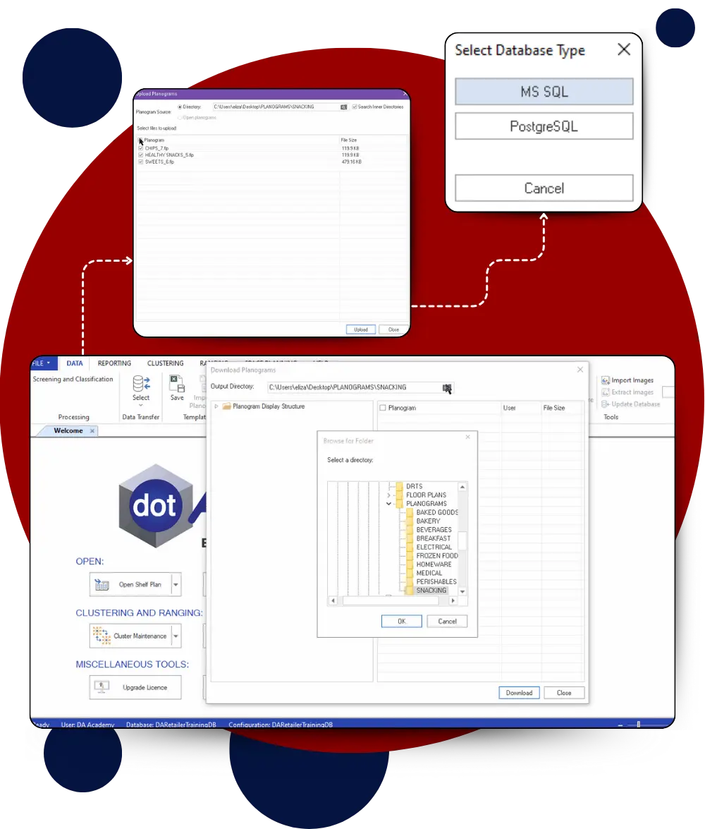 Let DotActiv Build And Maintain Your Database